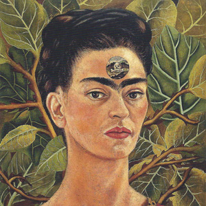 vignettefrid