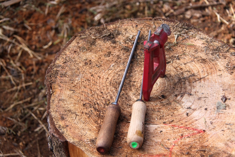 Forêts : le prix du bois commence à plier